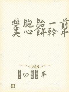 双胞胎一前一后夹心饼干年下