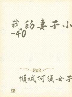 我的妻子小谨1-40