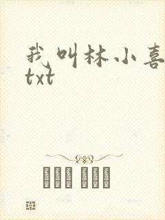 我叫林小喜小说txt