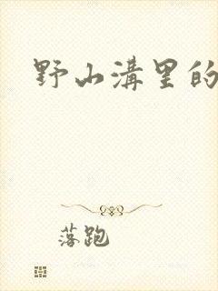 野山沟里的村庄