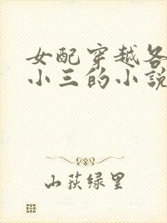 女配穿越各个做小三的小说