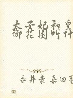 太子妃和皇帝在御花园叫什么小说