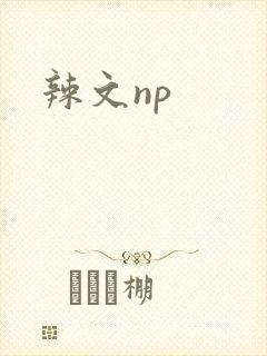 辣文np封面