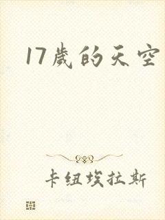 17岁的天空