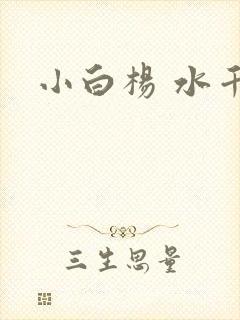 小白杨 水千丞