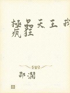 极品天王 我本疯狂封面