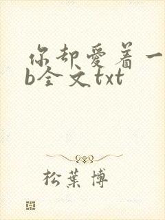 你却爱着一个sb全文txt封面