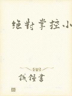 绝对掌控小说
