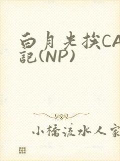 白月光挨CAO记(NP)