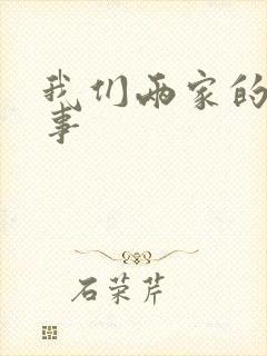 我们两家的荒唐事