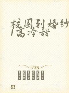 校园到婚纱1V1高冷甜封面