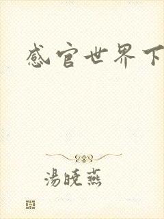 感官世界下载