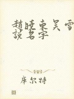 赵晓东吴雪晴小说名字