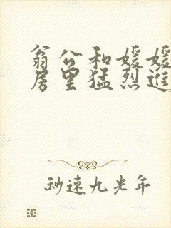 翁公和媛媛在厨房里猛烈进出