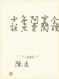 少年阿宾全文小说免费阅读笔趣阁