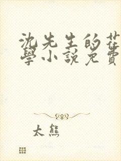 沈先生的花式教学小说免费封面