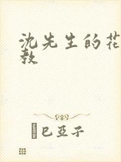 沈先生的花式调教封面