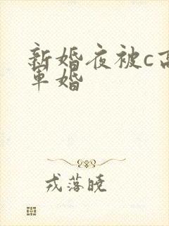 新婚夜被c高h军婚