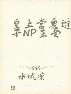 皇上当众进入太子NP主受