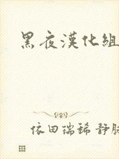 黑夜汉化组