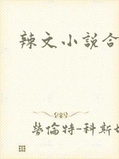 辣文小说合集封面