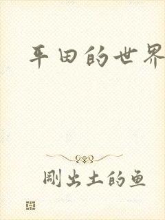 平田的世界