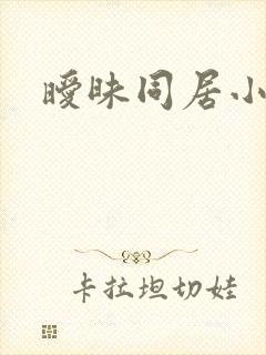 暧昧同居小说封面