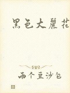 黑色大丽花图片封面