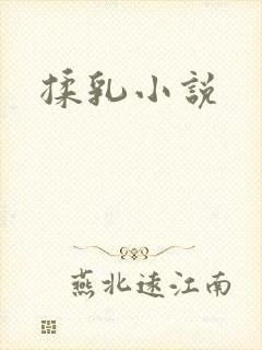 揉乳小说
