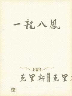 一龙八凤封面