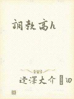 调教高h