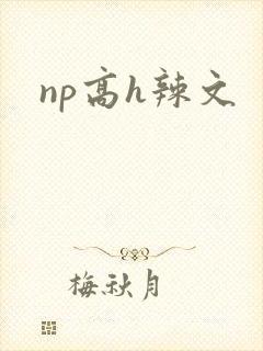 np高h辣文