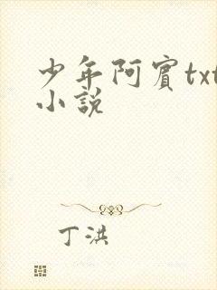 少年阿宾txt小说封面