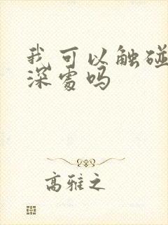 我可以触碰你的深处吗封面