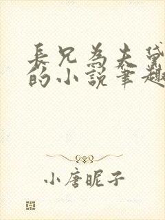 长兄为夫黛珂妃的小说笔趣阁全文