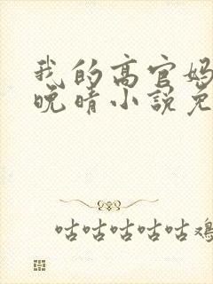 我的高官妈妈苏晚晴小说免费阅读