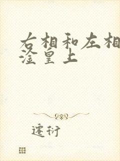 右相和左相一起淦皇上
