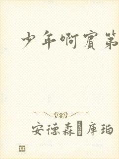 少年啊宾第二部