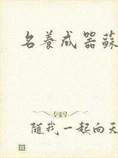 名养成器苏沫沫封面