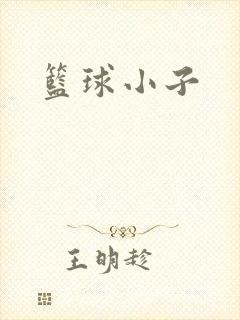 篮球小子封面
