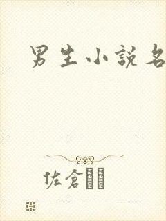 男生小说名字