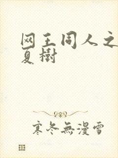 网王同人之桃生夏树