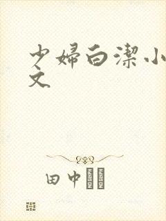 少妇白洁小说全文封面