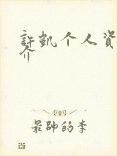 许凯个人资料简介