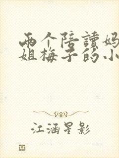 两个陪读妈妈赵姐梅子的小说