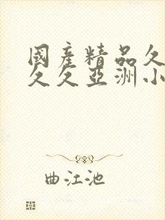 国产精品久久久久久亚洲小说