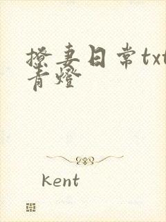 撩妻日常txt青灯