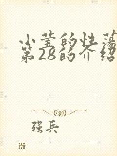 小莹的性荡生活第28的介绍