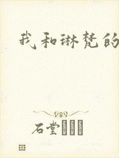 我和琳梵的故事