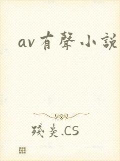 av有声小说